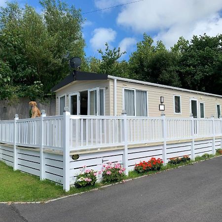 Mollys Retreat Pet Friendly Three Bed Caravan With Small Garden Newquay Bay Resort Quieter Area Of Park Экстерьер фото
