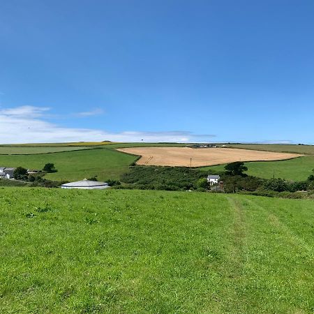 Mollys Retreat Pet Friendly Three Bed Caravan With Small Garden Newquay Bay Resort Quieter Area Of Park Экстерьер фото